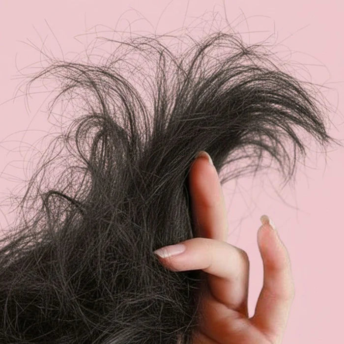 Dry & Damaged Hair